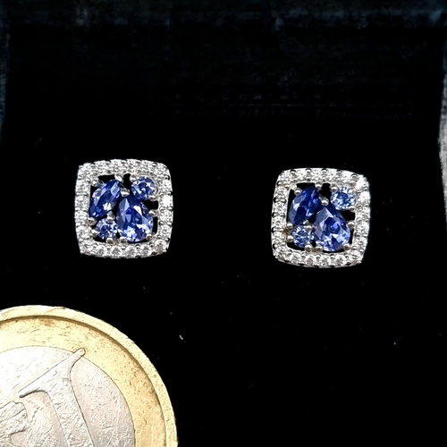 562 - A pair of tanzanite stud earrings with gem set surround set in sterling silver. Tanzanite's are rare... 