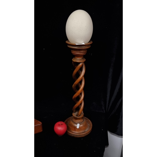 186 - A tall original ostrich egg sat on a barley twist wooden support. Nice design.