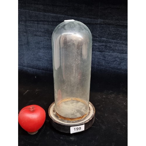 199 - A neat size antique glass display dome sat on a wooden base.