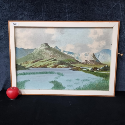 722 - A fine original vintage oil on board painting titled 'The Twelve Bens and Ballynahinch Lake'. Featur... 