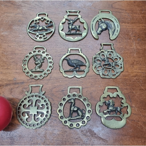 878 - Nine vintage horse brasses including lion, greyhound and stag designs.