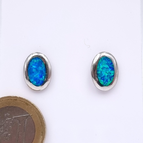 1012 - A very pretty Pair of Sterling Silver stud earrings with an iridescent centre piece. Stamped 925. Bo... 