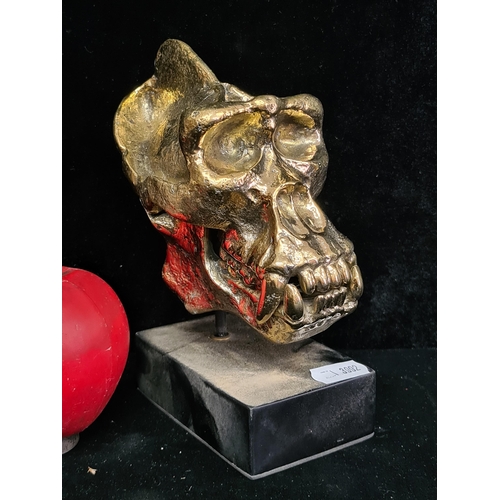 1093 - Star lot : A stunning heavy bronze gorilla skull sculpture in a gold finish. originally in Auction 7... 