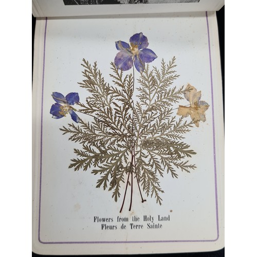 896 - A lovely wooden covered book titled 'Flowers from the Holy Land, In remembrance of the British Army ... 