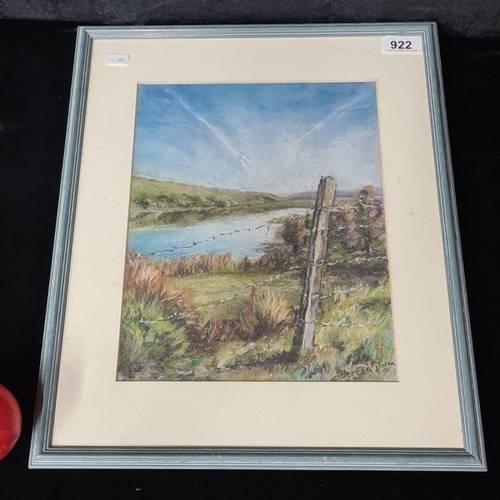 922 - An entrancing original 'Teresa Doran' pastel on paper painting titled 'A little bit of Ireland- Loug... 