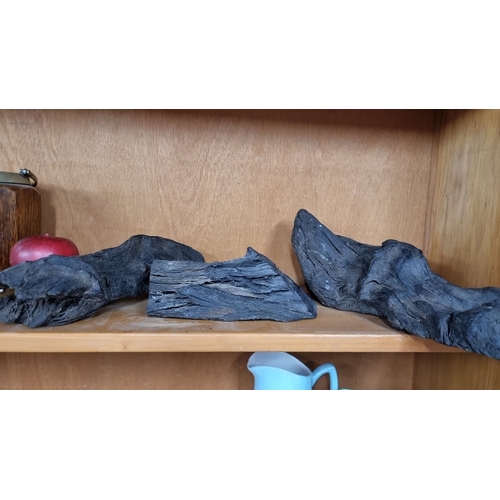 1005 - Three pieces of natural Bog Oak , darkened with age.