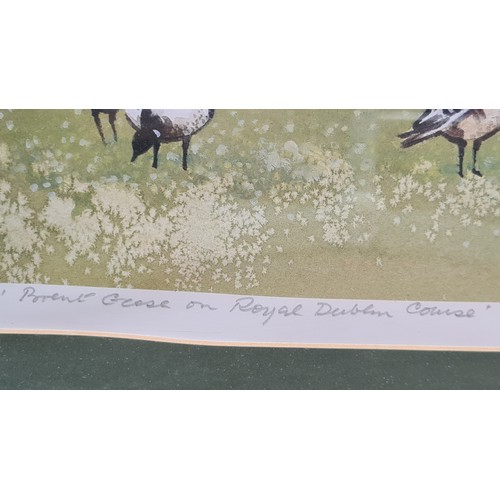 123 - A large limited edition 65 / 200  hand signed John Skelton print titled ' Brent Geese on Royal Dubli... 