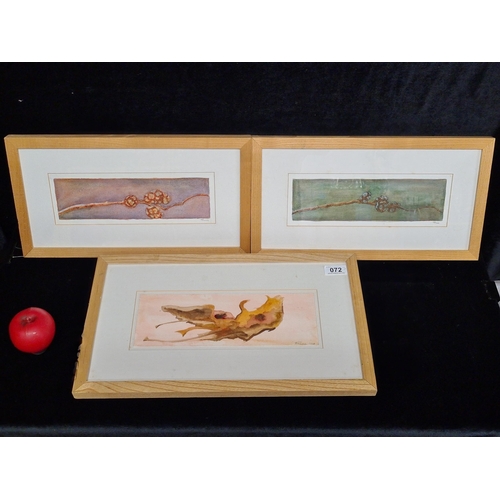 72 - A triptych of original watercolour on paper paintings featuring botanical branch and leaf studies by... 