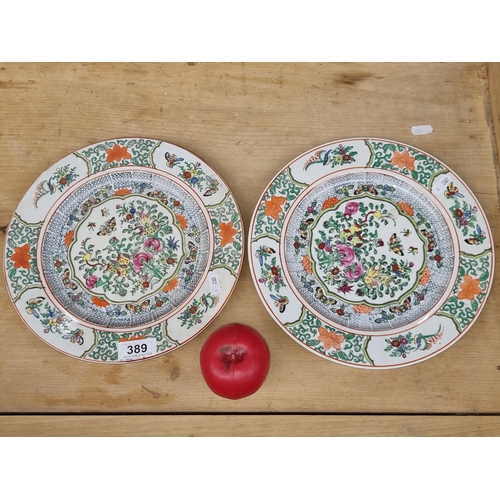 389 - A pair of lovely Chinese Porcelain plates. Features hand painted botanical patterns in a soft colour... 