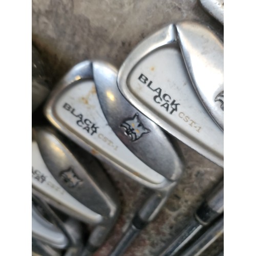 314 - A selection of twelve lynx Golf Clubs. Includes woods and irons. Also a ping wood.