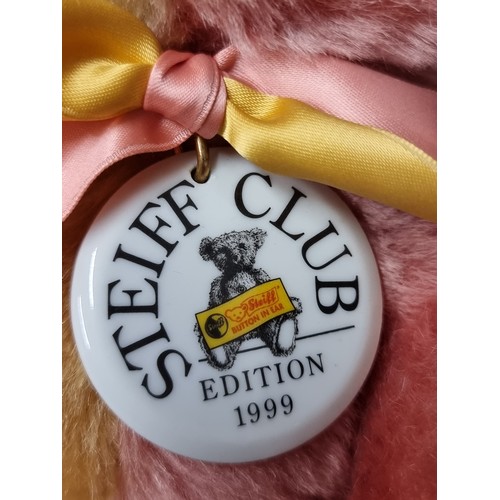 274 - A two toned Steiff club 1999 edition bear in excellent condition. With a button in the ear, original... 