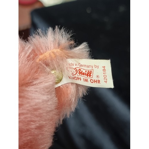 274 - A two toned Steiff club 1999 edition bear in excellent condition. With a button in the ear, original... 