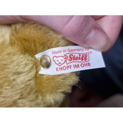 278 - A commemorative 1907-2007 Steiff teddy bear with signature button to ear and original tags. His frie... 