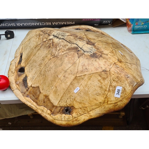 348 - Star lot : A very large antique  sea turtle carapace shell. Sea turtle shells (carapace) are strong,... 