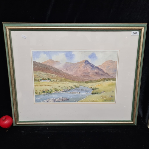 88 - Star Lot: A delightful original Tony Lynch (Dublin, contemporary) watercolour on paper painting titl... 