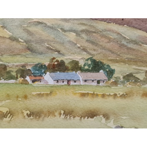 88 - Star Lot: A delightful original Tony Lynch (Dublin, contemporary) watercolour on paper painting titl... 