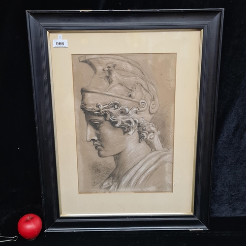 66 - A large original charcoal pencil on paper painting / drawing. Features a portrait study of Roman mal... 