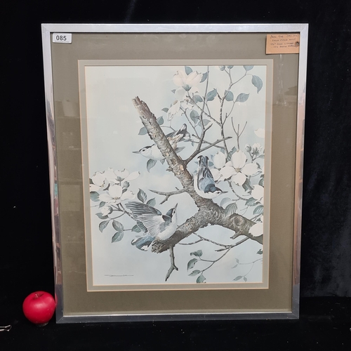 85 - A large 'Basil Ede' 1970s Signed Lithograph. Features White Breasted Nuthatches seated on a branch. ... 