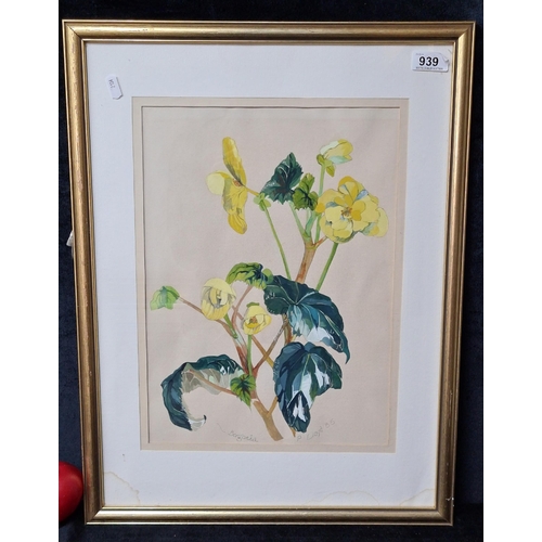 939 - Star Lot: A brilliant original gouache on paper painting titled 'Begonia'. Features a botanical stud... 