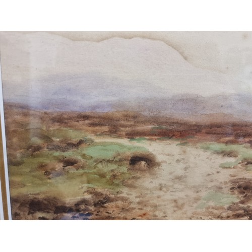 83 - Star Lot: Alec Williams RHA (1846-1930) A brilliant Alec Williams RHA (1846-1930) watercolour on pap... 