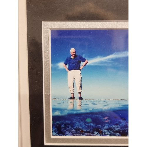 108 - A brilliant David Attenborough framed photograph with Hand original  signature. Certificate of authe... 