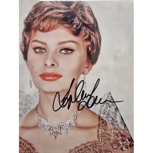 110 - A framed original hand signed photograph of screen siren Sophia Loren. Certificate of authenticity t... 