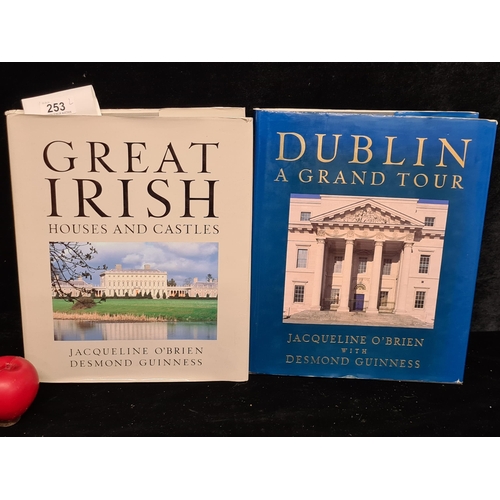 253 - Two fab hardback books of Irish architecture and history interest. Includes 'Great Irish Houses and ... 