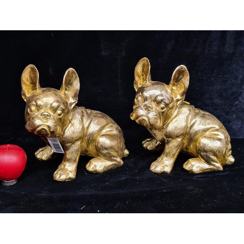 278 - A pair of characterful gilt French bulldog figures. Brand new from a top UK Interior design company.