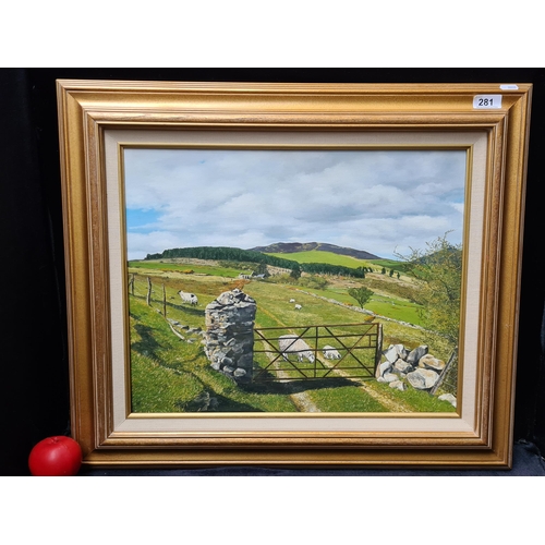 281 - Star Lot: A captivating original 'Ann Farrally' oil on canvas painting. Features the Burren Irish co... 