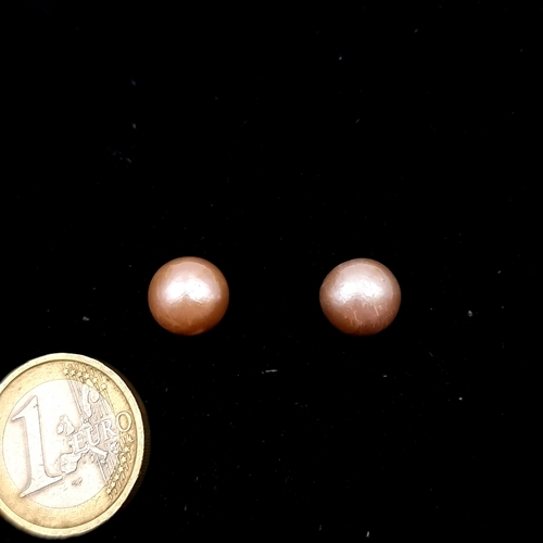 511 - Star Lot : A most pretty 18 carat gold Akoya pearl stud earrings. Weight - 4.5 grams.