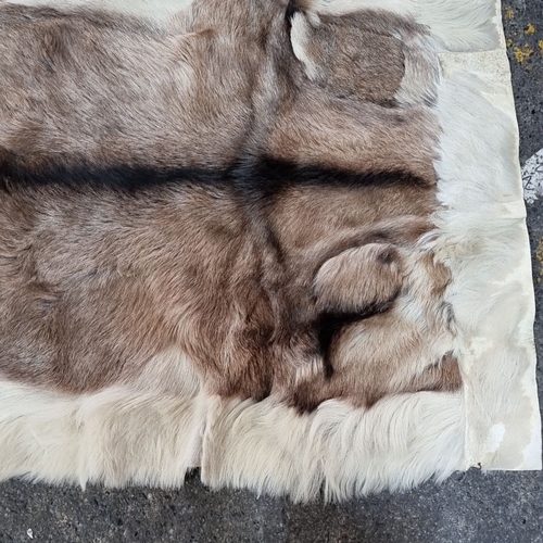 802 - Star lot : A very large Reindeer hide rug features soft brown and white tones and an elegant natural... 