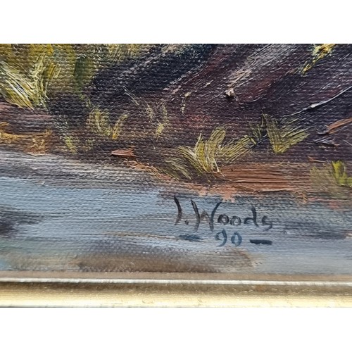 292 - Star Lot: Irene Woods (Irish) An original 'Irene Woods' (Irish) oil on canvas painting titled 'Mourn... 