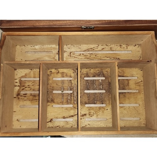 134 - Star lot : A nice example of a cigar humidor reading Havanas 