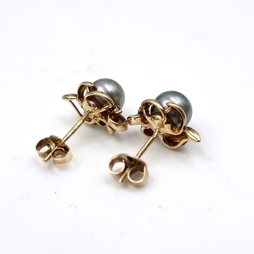 607 - Star lot : A beautiful pair of Tahitian pearl and diamond stud earrings set in nine carat gold. Suit... 