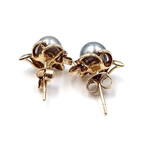 607 - Star lot : A beautiful pair of Tahitian pearl and diamond stud earrings set in nine carat gold. Suit... 