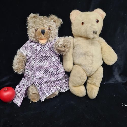 219 - Two adorable vintage teddy bears including one sporting a rain jacket. Including a growler.