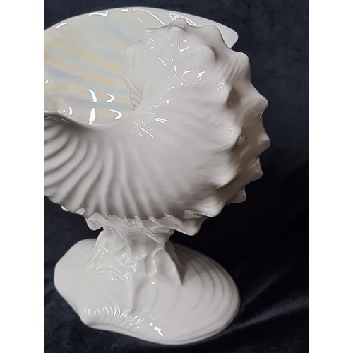 842 - A superb large Wedgwood Bone China conch shell bowl from the Nautilus Lustre collection. Great cente... 