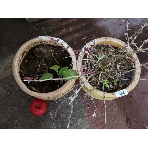 898 - Pair of terracotta garden pots with plant remnants. Simple decorative bands accentuate the natural e... 