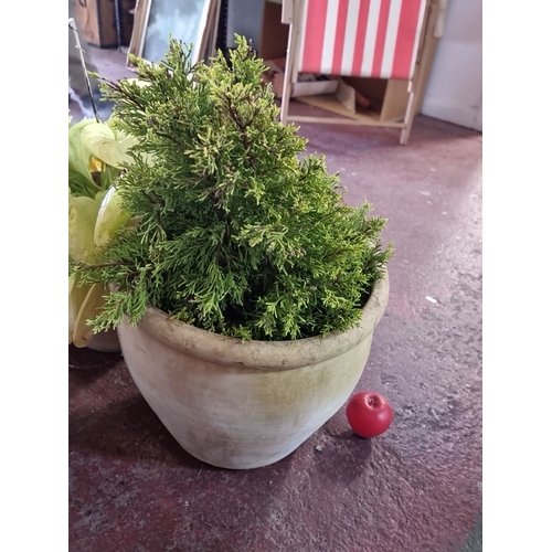 900 - Two potted greenery plants in rustic, weathered terracotta planters.