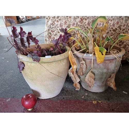 902 - Pair of weathered terracotta flower pots containing faded plants.