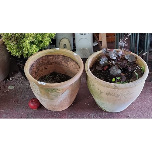 903 - Pair of terracotta garden plant pots, one with foliage.