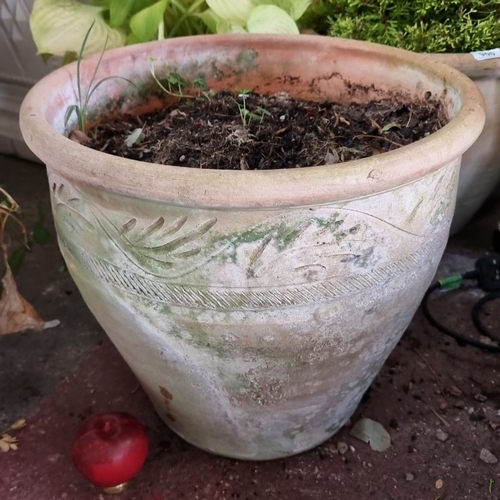 904 - Terracotta planter with decorative leaf patterns around the exterior.