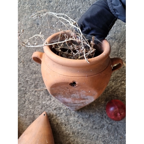 918 - Pair of large terracotta amphora planters with dual handles.