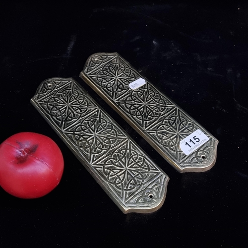 115 - A pair of Liffey Artefact cast brass door push plates featuring the Celtic knot.