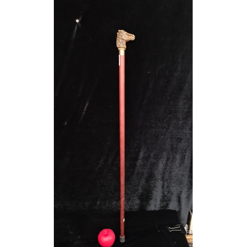 918 - Wooden tipple stick walking cane featuring a brass horse head handle, the head removes to reveal a f... 