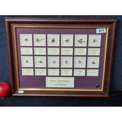 873 - A large 'Trout Fly Fishing in Ireland' Display with twelve species and descriptions. Housed in a woo... 