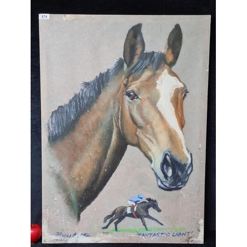 874 - A large quality print on canvas titled 'Fantastic light'. Features a portrait of a horse with a hors... 