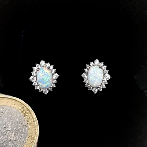 564 - A good pair of Opal stud earrings with gemstone mounts. New stock. Boxed.