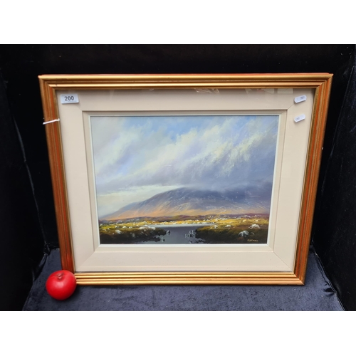 200 - Star Lot: Alan Kenny (b.1959) A serene original oil on canvas painting. Features a picturesque Irish... 