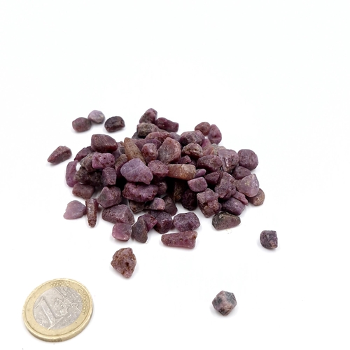 447 - A collection of untreated rough cut ruby stones of 448.95 carats.